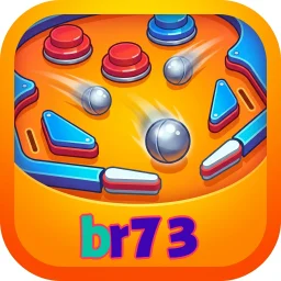 br73