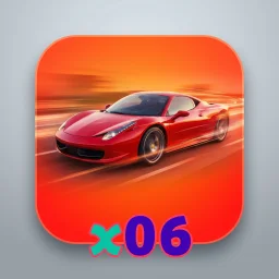 x06